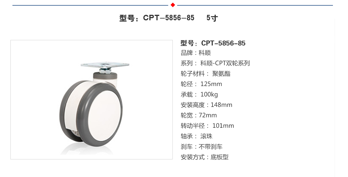 CPT-5856-85  5.jpg